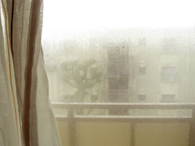 c0060380_15145355.jpg