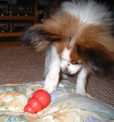 c0044199_2345761.jpg