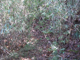 c0012304_0591039.jpg