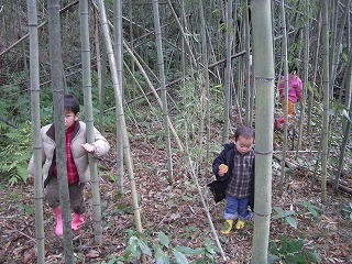 c0012304_1133271.jpg