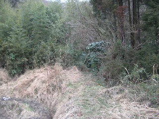 c0012304_132839.jpg
