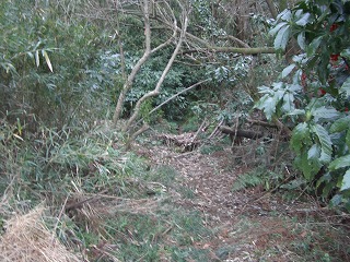 c0012304_1344189.jpg