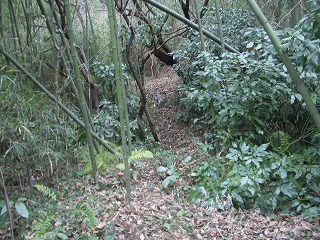 c0012304_1363529.jpg