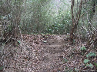 c0012304_139485.jpg