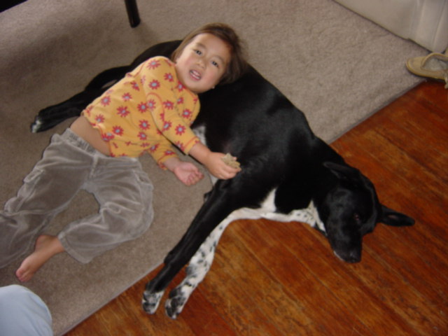 c0048504_7294116.jpg