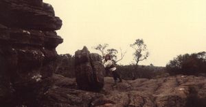 b0024435_21401363.jpg