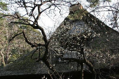 c0057265_20261058.jpg