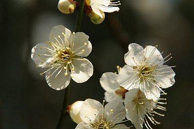c0057265_20272841.jpg