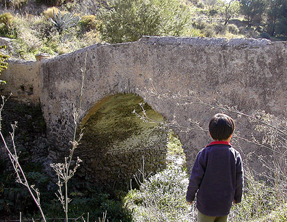 c0009070_6581156.jpg