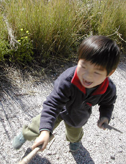 c0009070_72046.jpg