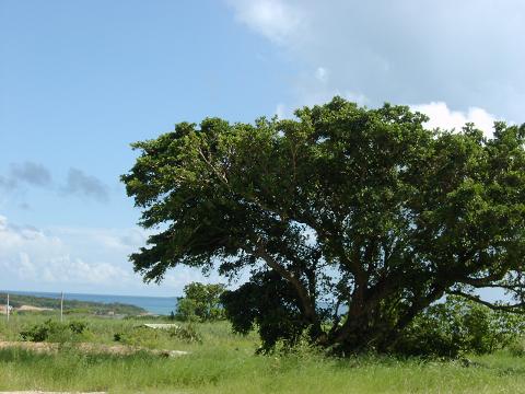 c0026178_13271668.jpg