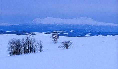 c0031085_22385298.jpg