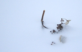 c0031085_23215579.jpg