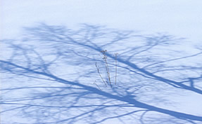 c0031085_23413564.jpg