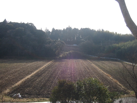 a0027290_1132521.jpg
