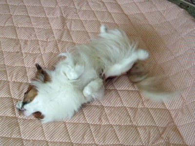 c0044199_22241343.jpg