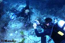 c0037447_23173745.jpg