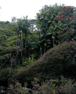 b0001980_11164890.jpg