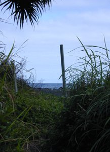 b0001980_11191330.jpg