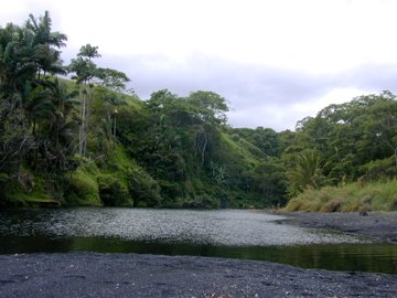 b0001980_11194935.jpg