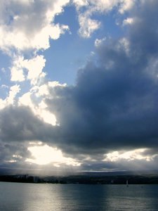 b0001980_11351278.jpg