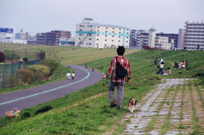 c0044199_221841100.jpg