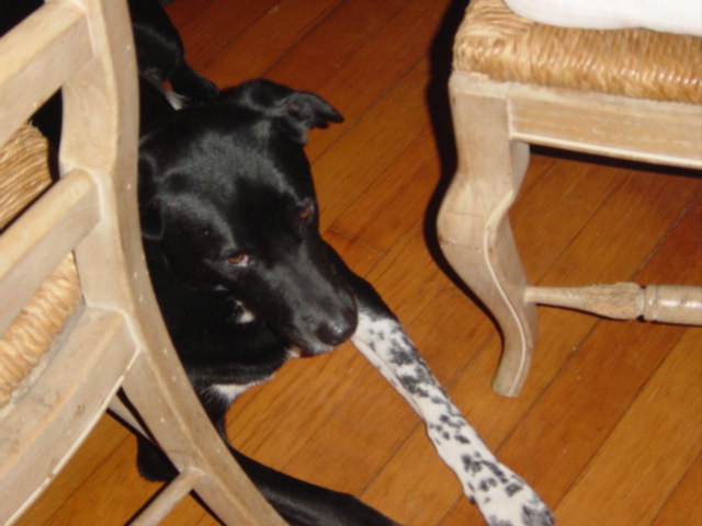 c0048504_7503563.jpg