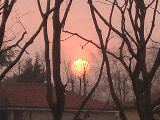 b0061320_529562.jpg