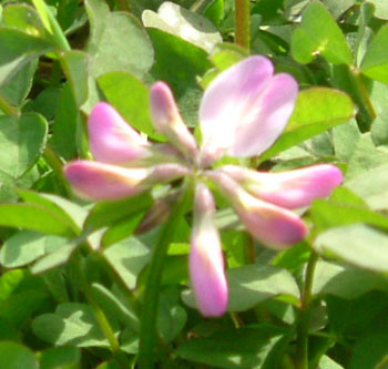 b0058229_10421453.jpg