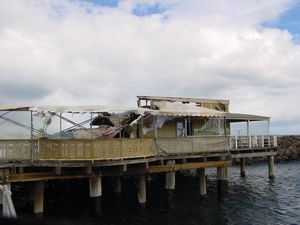 b0024435_21144072.jpg
