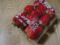 b0041537_2241466.jpg