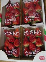 b0041537_224656.jpg