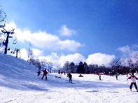 c0060651_9195459.jpg