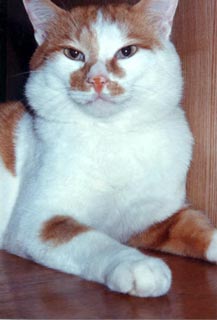 a0001756_205226.jpg