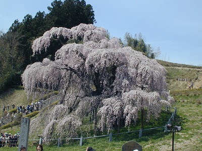 c0032257_1457477.jpg