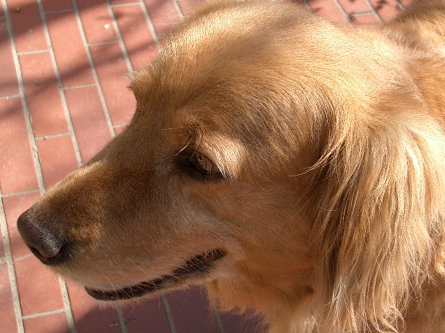 c0057065_21221355.jpg