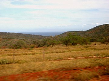 b0001980_18333637.jpg