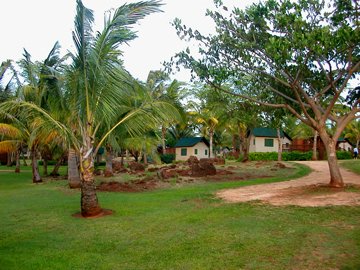 b0001980_18351035.jpg