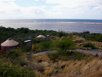 b0001980_18442918.jpg
