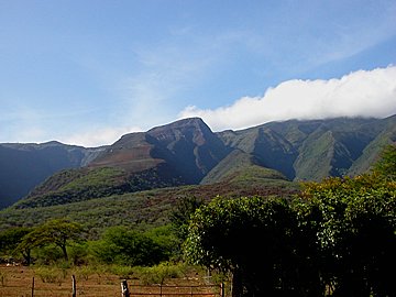 b0001980_18503279.jpg