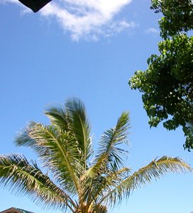 b0001980_1858453.jpg