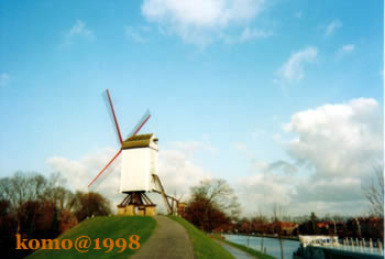 c0061083_17343321.jpg