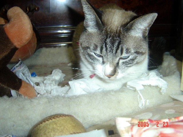 a0005691_0501074.jpg