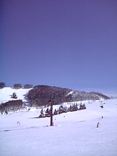 b0062892_18513279.jpg