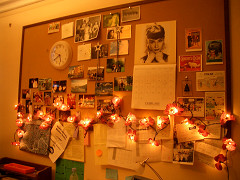 a0031209_1463582.jpg