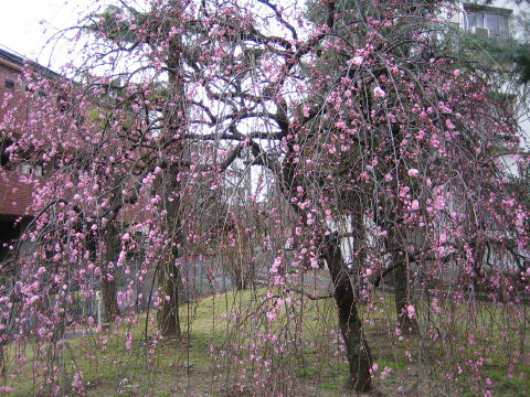 b0042943_2245661.jpg