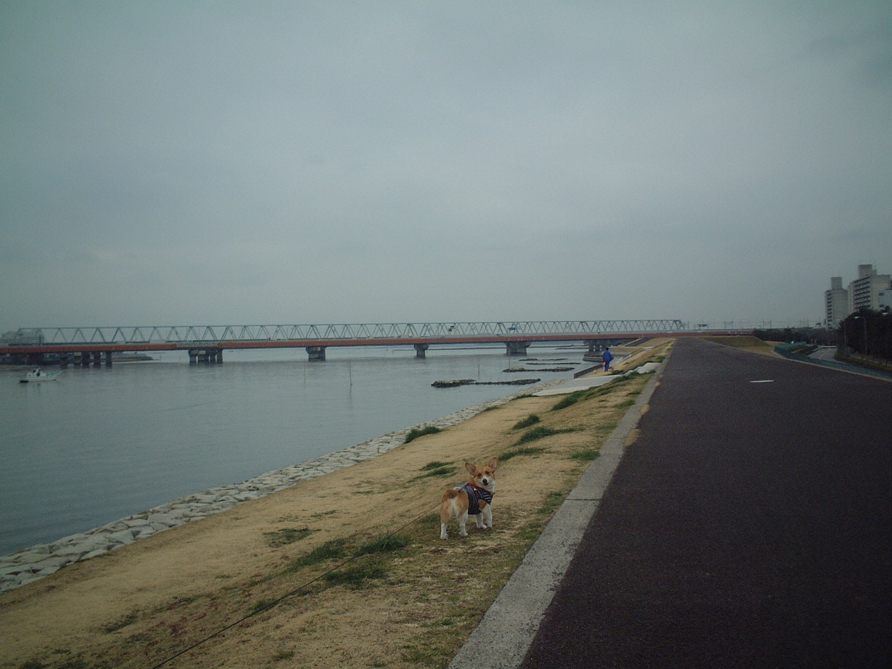 a0024004_2218476.jpg