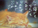 b0051111_063278.jpg