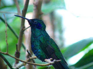 b0009029_22102868.jpg