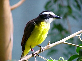 b0009029_22111268.jpg